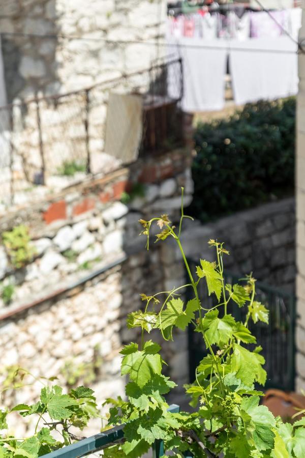 Luxury Apartment Silvana With Beautiful Garden Split Bagian luar foto